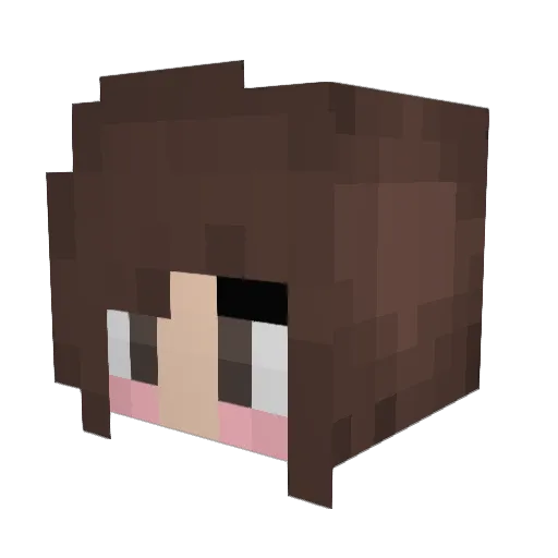 hedgehog29 Minecraft avatar head, 3D render