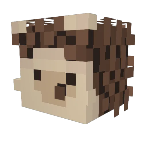 hedgehugs7 Minecraft avatar head, 3D render