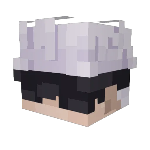 hedgey69 Minecraft avatar head, 3D render