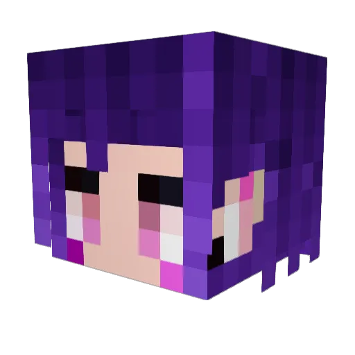 hedgythe1 Minecraft avatar head, 3D render