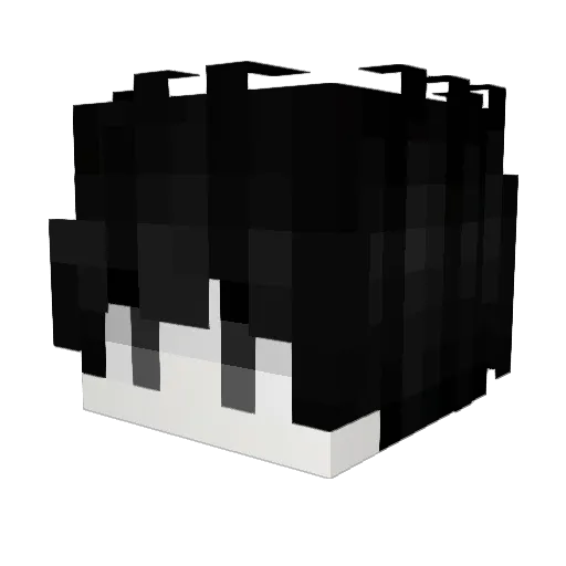 hedre159 Minecraft avatar head, 3D render