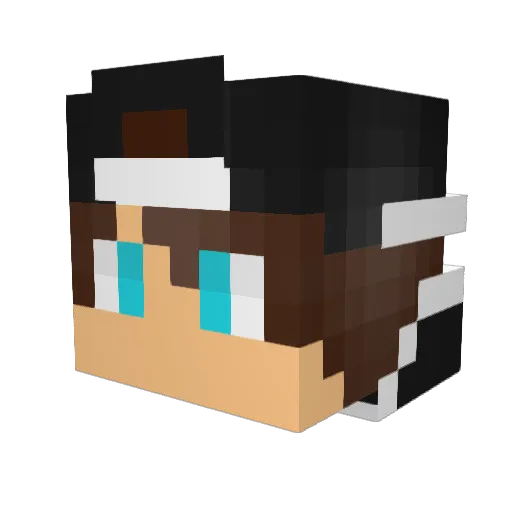 heectoor Minecraft avatar head, 3D render