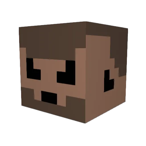 heejnes Minecraft avatar head, 3D render
