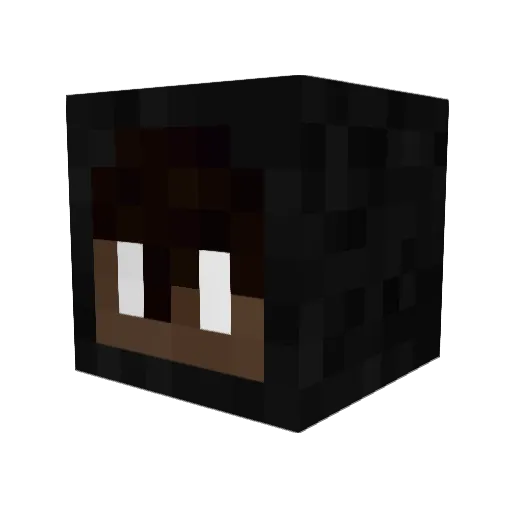 heelflipking Minecraft avatar head, 3D render