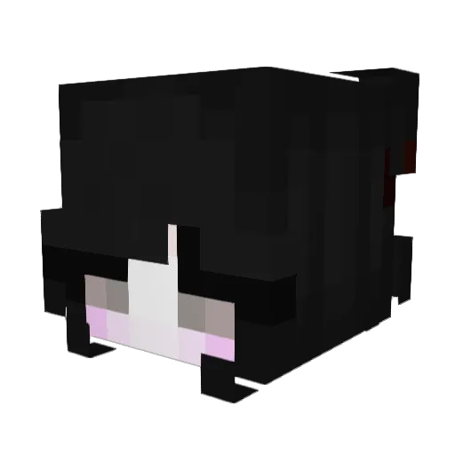 heeny12 Minecraft avatar head, 3D render