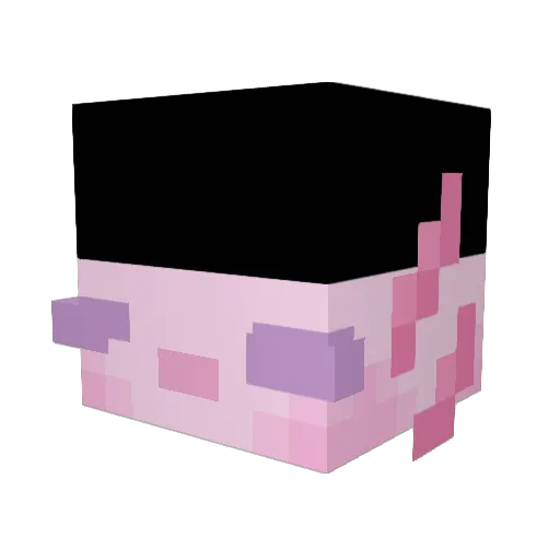 heepswillard Minecraft avatar head, 3D render
