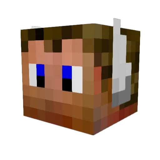 heesters Minecraft avatar head, 3D render