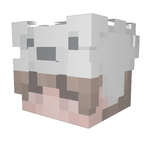 heeyan612 Minecraft avatar head, 3D render