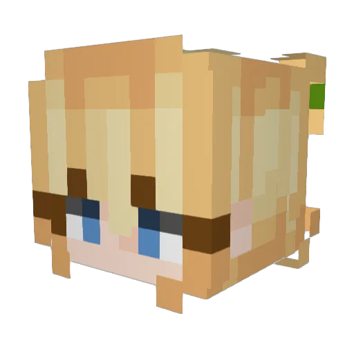 heffe8 Minecraft avatar head, 3D render