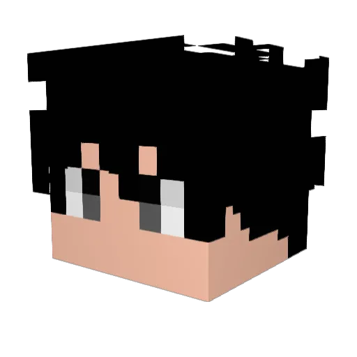 hefleeyxanax Minecraft avatar head, 3D render