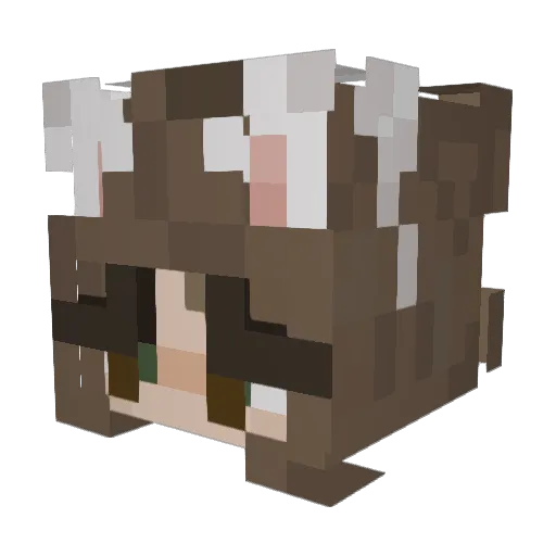 hefty4lex Minecraft avatar head, 3D render