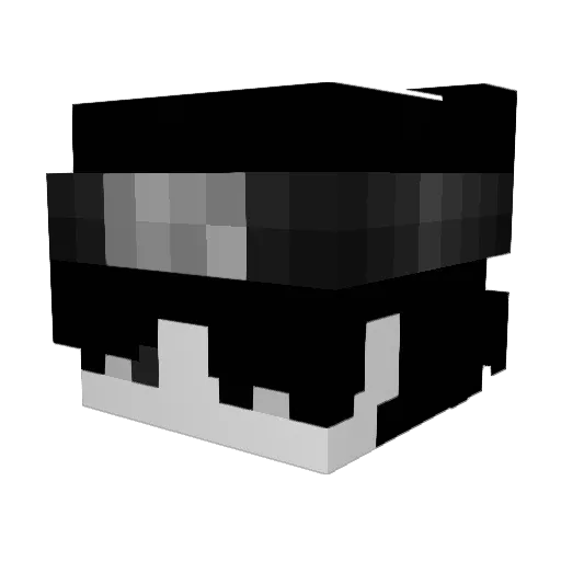 heh1212 Minecraft avatar head, 3D render