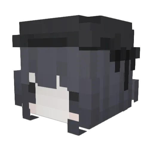 heh24 Minecraft avatar head, 3D render