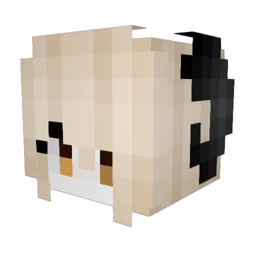 hehexd13 Minecraft avatar head, 3D render