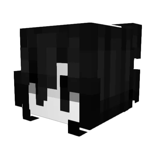 heidah Minecraft avatar head, 3D render
