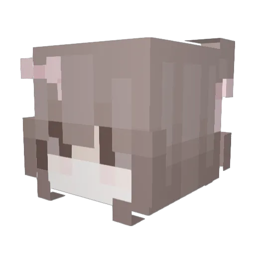 heididididi Minecraft avatar head, 3D render