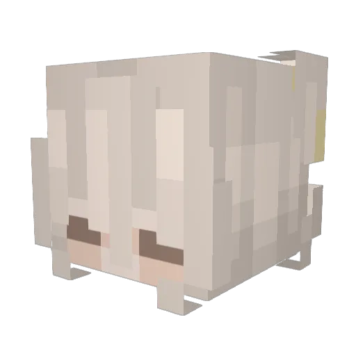 heidikinz Minecraft avatar head, 3D render