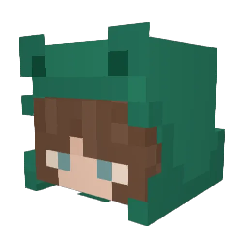 heidiwasfound Minecraft avatar head, 3D render