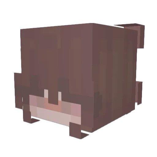 heihu Minecraft avatar head, 3D render
