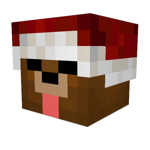 heiinrichs Minecraft avatar head, 3D render