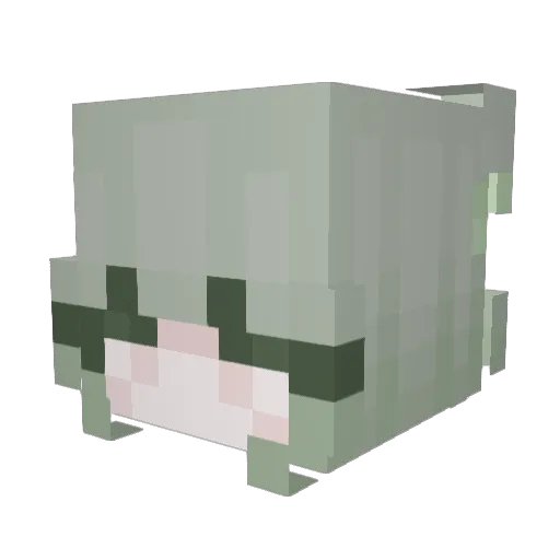 hein1201 Minecraft avatar head, 3D render