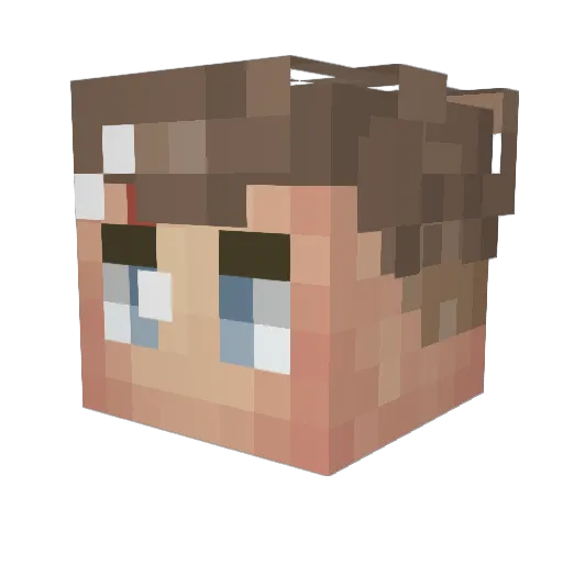 heinekaN Minecraft avatar head, 3D render