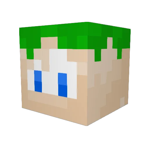 heinz9000 Minecraft avatar head, 3D render