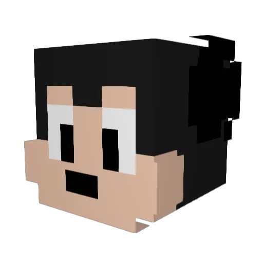 heiryuhei Minecraft avatar head, 3D render