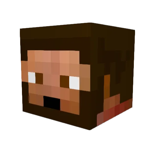 heiseky Minecraft avatar head, 3D render