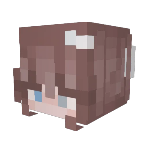 heisltschickJJ Minecraft avatar head, 3D render