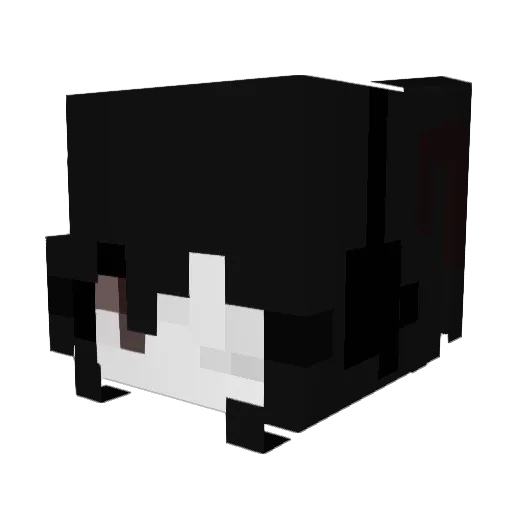 heismyowner Minecraft avatar head, 3D render