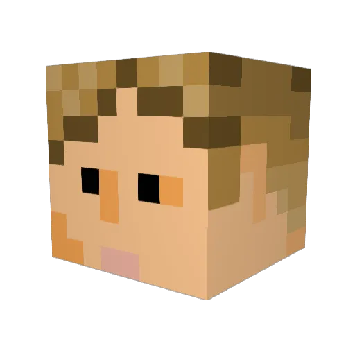 heizi Minecraft avatar head, 3D render