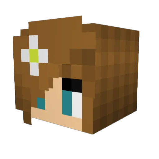 hejadoj Minecraft avatar head, 3D render