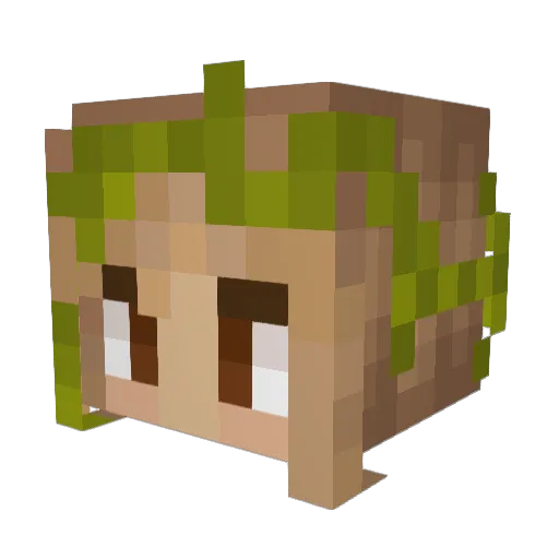 hejtove Minecraft avatar head, 3D render