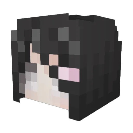 hekilion Minecraft avatar head, 3D render
