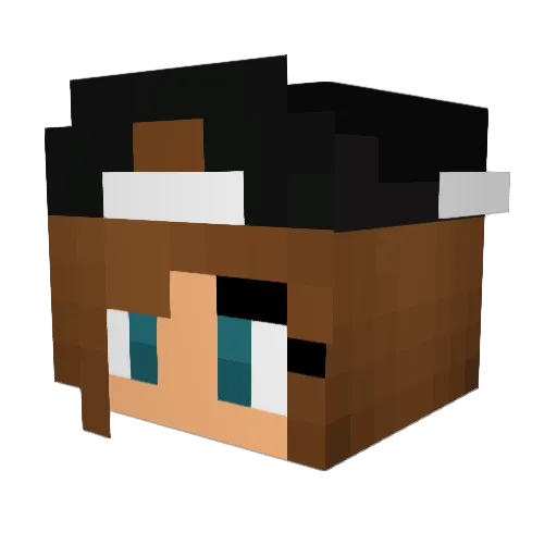 helenewiik Minecraft avatar head, 3D render