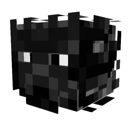 heli11111 Minecraft avatar head, 3D render