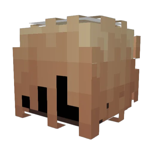 heliospec Minecraft avatar head, 3D render