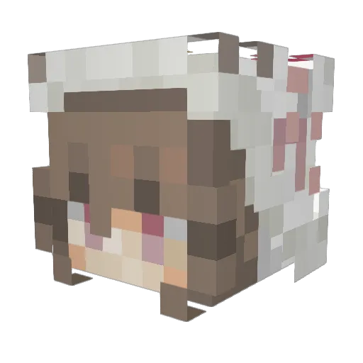 hell0k1ttyyyy Minecraft avatar head, 3D render