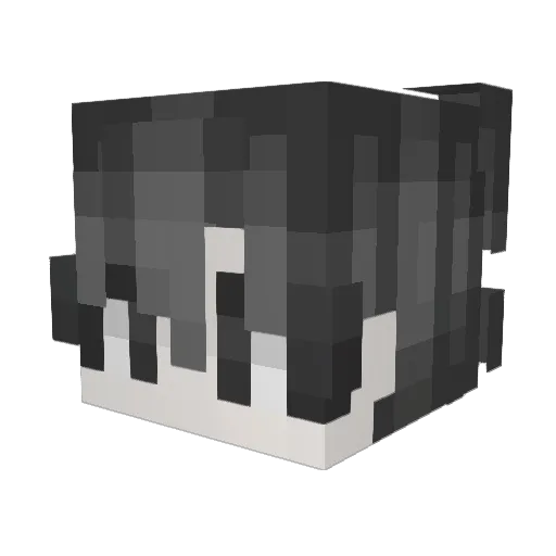 hell5tar Minecraft avatar head, 3D render