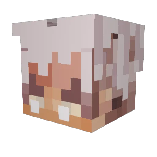 hell_zay Minecraft avatar head, 3D render