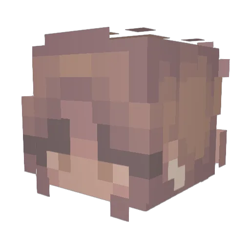 hellastella007 Minecraft avatar head, 3D render