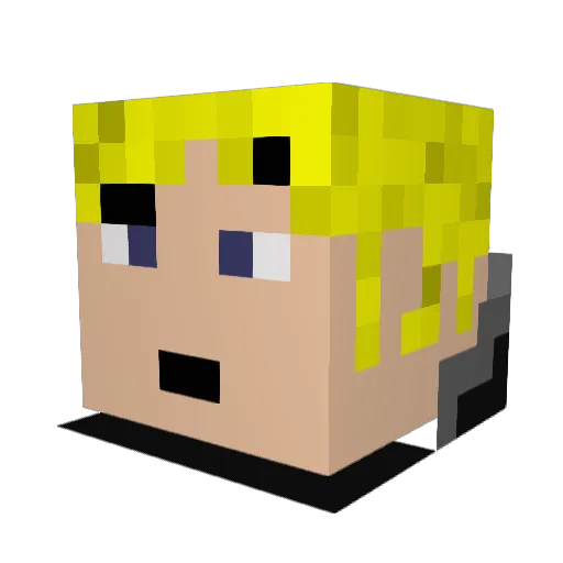 hellerdom Minecraft avatar head, 3D render