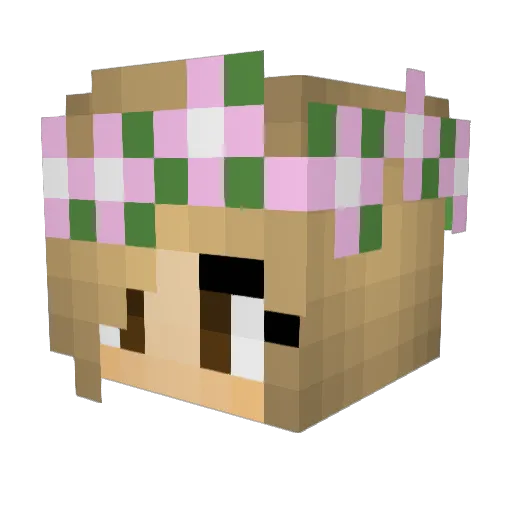 hello9753 Minecraft avatar head, 3D render
