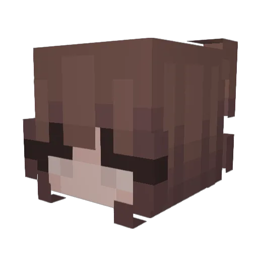 hello_im_caitlin Minecraft avatar head, 3D render