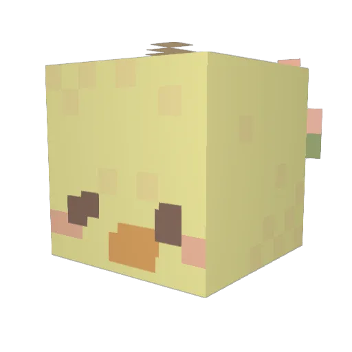 hello_kiwi Minecraft avatar head, 3D render