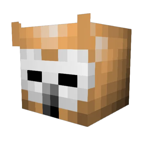 hello_muna Minecraft avatar head, 3D render
