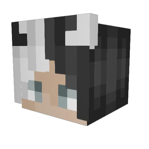 hellohello9999 Minecraft avatar head, 3D render