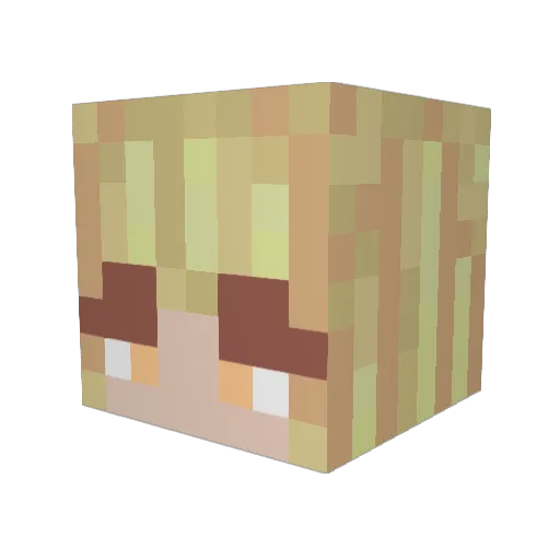 hellokitty1314 Minecraft avatar head, 3D render