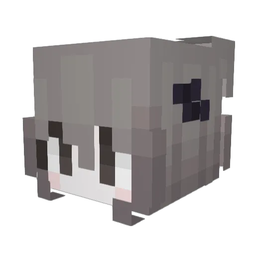 hellokittyfan29 Minecraft avatar head, 3D render